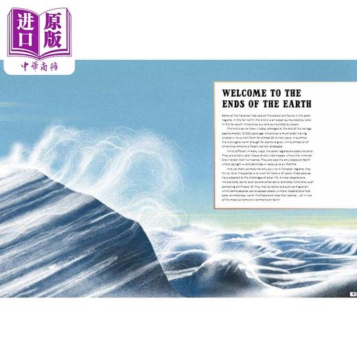【中商原版】极地 天涯海角的野生动物 Polar 英文原版 儿童动物绘本 精装科普绘本 进口Wildlife at the Ends of the Earth 商品图2