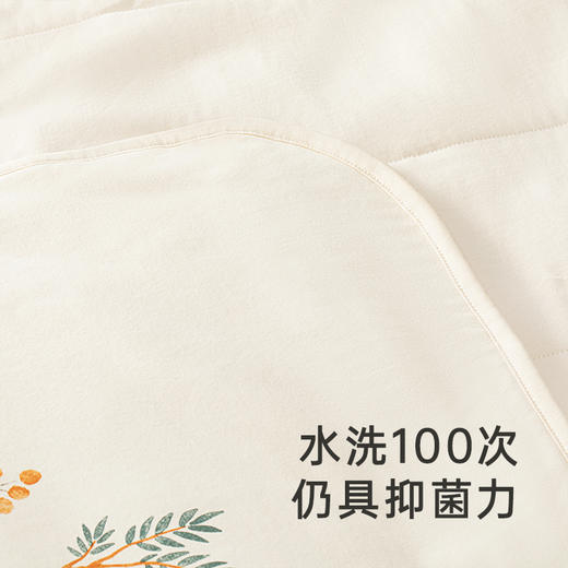 【商场同款】英氏婴幼儿抱被新生儿包被新款5A抑菌抱毯 商品图2