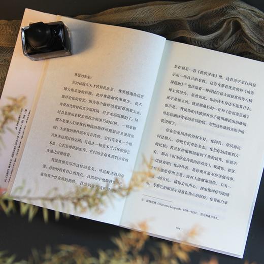 给一个青年诗人的十封信 （奥）里尔克 著 冯至 译 商品图6