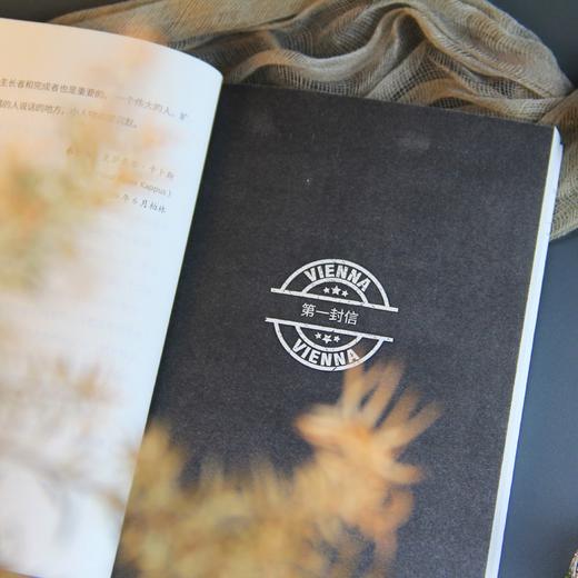 给一个青年诗人的十封信 （奥）里尔克 著 冯至 译 商品图5