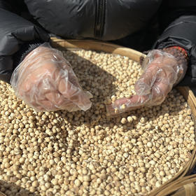 藏贝母，藏区每年的产量不足需求量的2%，内地很少见到的珍品