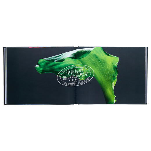 【中商原版】Floral 进口艺术 花卉 商品图6