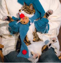 【已绝版】 冬日梦想家系列 宠物围巾（蓝）s码 商品图0