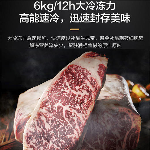 海尔（Haier)冰柜小型冰柜单温柜家用冷柜一级能效母乳 冷藏或全冷冻急冻速冻 BC/BD-142GHPCZ 商品图3