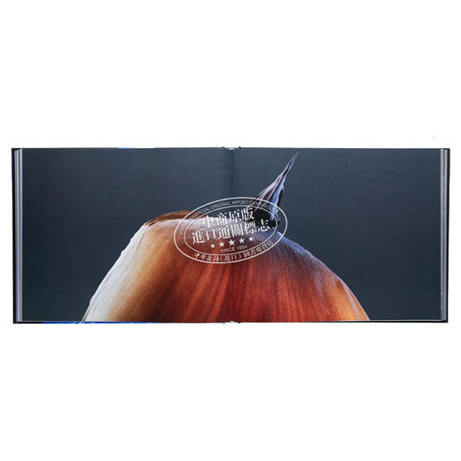 【中商原版】Floral 进口艺术 花卉 商品图4