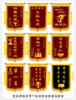 【奖励锦旗】冠军销售团队锦旗定做 商品缩略图1