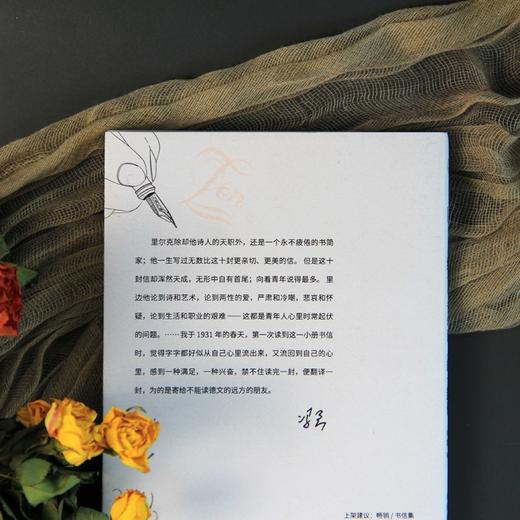 给一个青年诗人的十封信 （奥）里尔克 著 冯至 译 商品图3