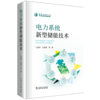 电力系统新型储能技术 商品缩略图0