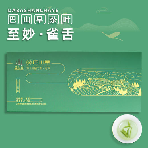 巴山早2024春茶明前绿茶茶叶礼盒装120g*2雀舌特级茶叶清香型高山云雾硒茶 商品图0