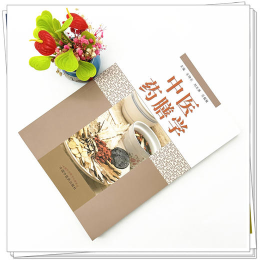 中医药膳学 刘志勇 左铮云 乐毅敏 中医养生科普书 中国中医药出版社 商品图1