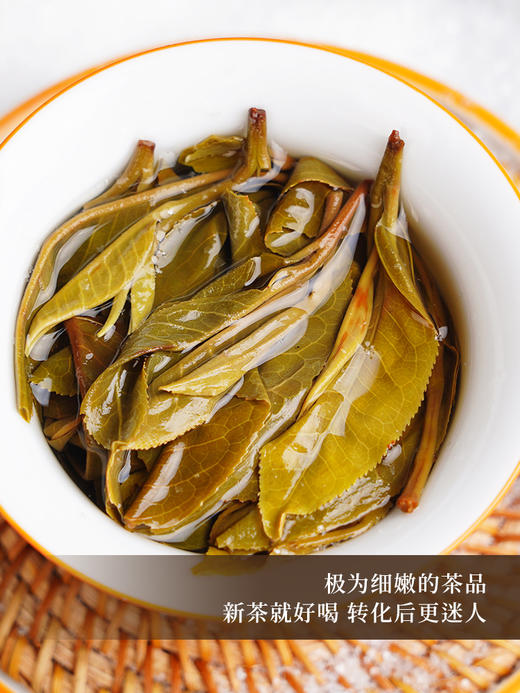 活动即将结束！【积分兑换】【九尾狐】2023年春茶神兽事业部收官力作迄今为止研发费用蕞高之作雪印青饼我们顶峰相见357克/饼 商品图9