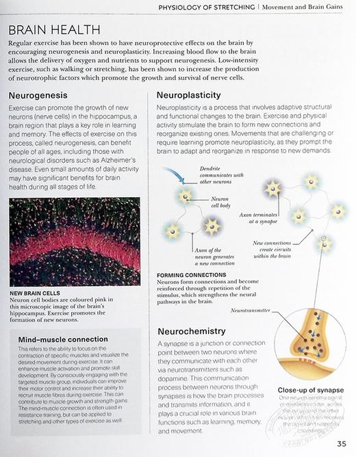 【中商原版】拉伸科学百科 英文原版 Science of Stretch Leada Malek Salehi 形体与运动科普 拉伸运动指导 运动 商品图6