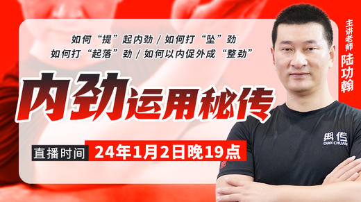 陆功翰传武秘籍第十三期——内劲运用秘传 商品图0