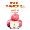 【健康选择！红富士苹果干】口感酥脆多汁，咬上一口，甜蜜果香直击心扉，让你沉浸在满满的幸福里。抖音网红水果干蜜饯休闲食品 商品缩略图1