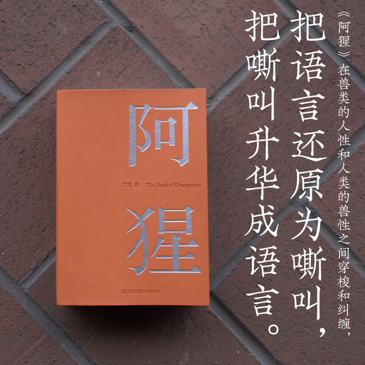阿猩 商品图1
