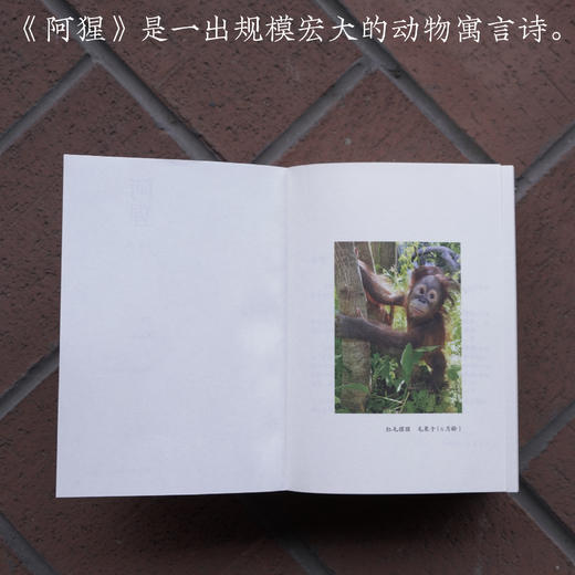 阿猩 商品图2