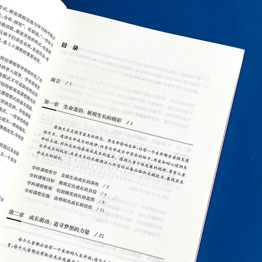 体艺学科课程群 小学 幼儿园体育与艺术课程 儿童体艺学科核心素养 课堂教学案例 正版 华东师范大学出版社 商品图4