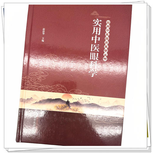 实用中医眼科学 彭清华 主编 中国中医药出版社 实用中医临床医学丛书 中医眼科学 书籍 商品图3