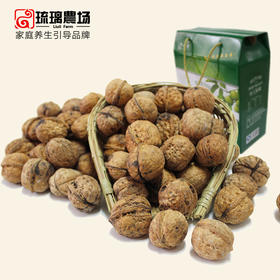 广元七绝朝天核桃干果礼盒2500g