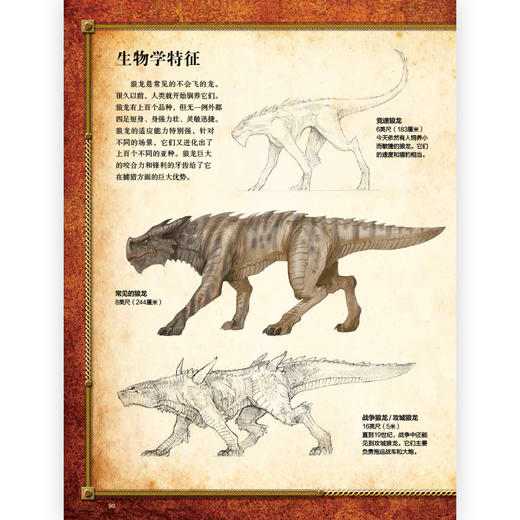 龙族百科：龙族形象的创造与设计 商品图2