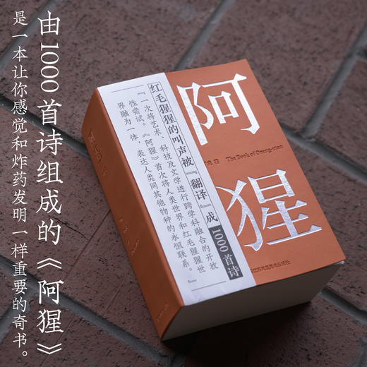 阿猩 商品图0