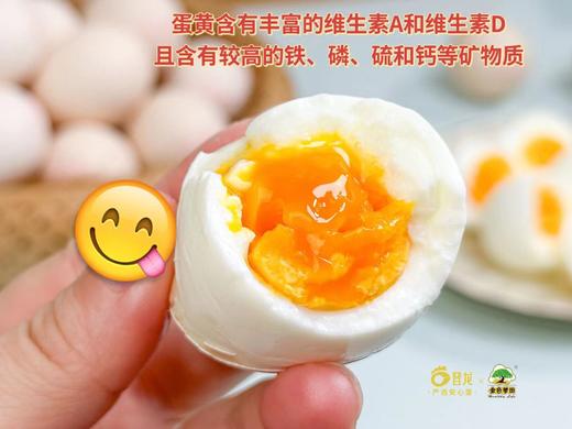 可生食【晋龙鲜鸡蛋】无激素添加 无抗生素添加 无重金属/沙门氏菌超标等 吃得安心 30枚/60枚 礼盒装 商品图6