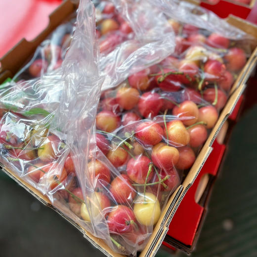 【斯凯拉蕾】高端金车（斯凯拉蕾）金车 黄车 车厘子，颜色红，口感脆甜，肉厚核小，颜值比较高！ 商品图4