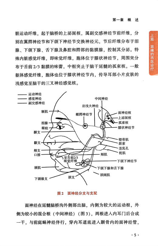 面瘫中西医诊疗汇通 刘波 中西医理论 疾病西医病因病理解剖检查诊断治疗 中医辨证论治针灸治疗 中国中医药出版社9787513284196 商品图4