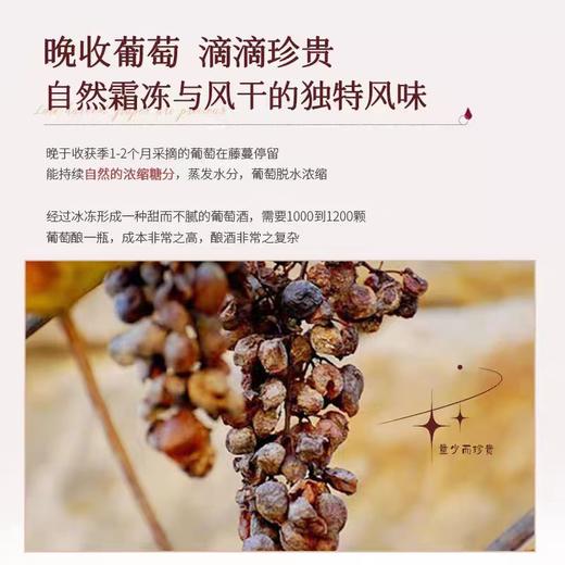 【天猫国际 年度热销】法国露颂晚收甜红葡萄酒 法国进口 8%vol 商品图2