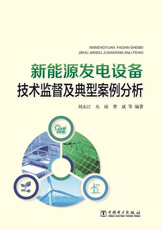 新能源发电设备技术监督及典型案例分析 商品图1