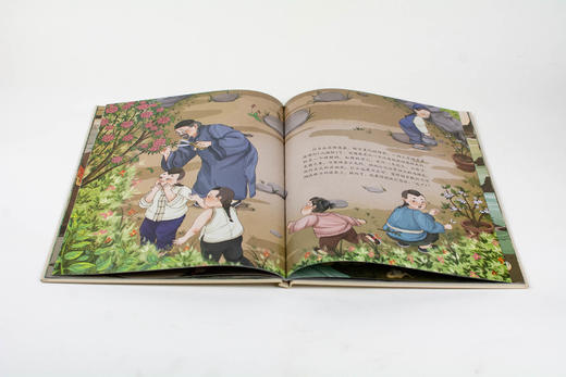 【6-12岁推荐】大家小绘系列2套可选 经典美文遇见绘本 鲁迅专辑/散文专辑 商品图5