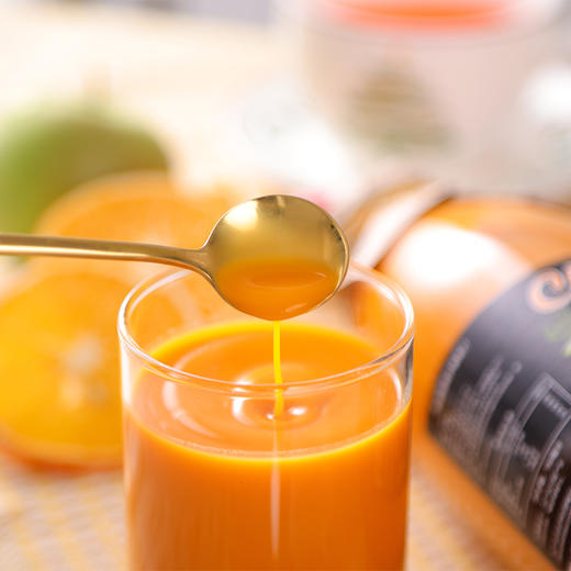 白俄罗斯vitba牌沙棘汁/桦树茸汁 商品图2