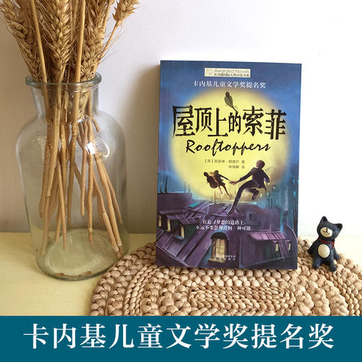 屋顶上的索菲 商品图1