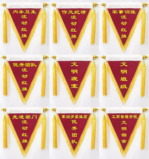 【流动红旗】颁奖评比三角旗定制定 商品图2