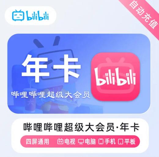 【快充】哔哩哔哩B站超级大会员年卡-支持电视端 商品图0