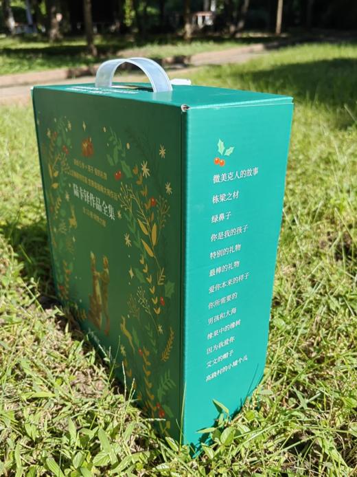 儿童礼物#陆卡铎作品全集（全13册）礼盒装 商品图1
