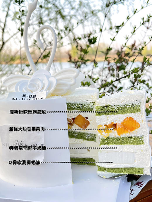 天鹅湖山茶花 商品图0