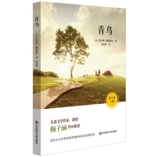青鸟 商品图0