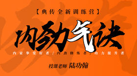 【内劲专训】3—内劲气诀 功力课自学