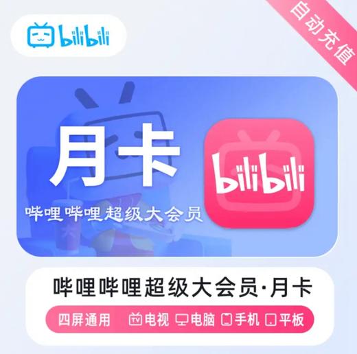 【快充】哔哩哔哩超级大会员bilibiliB站月季年卡-支持电视端 商品图0