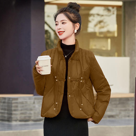 冬款气质时尚中式老钱风宽松显瘦潮流百搭加厚保暖羽绒服HR-WZ231239 商品图2