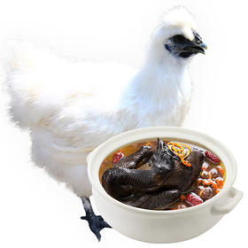 【周三发货】白条鸡整只白羽乌骨鸡净重2.5斤/只