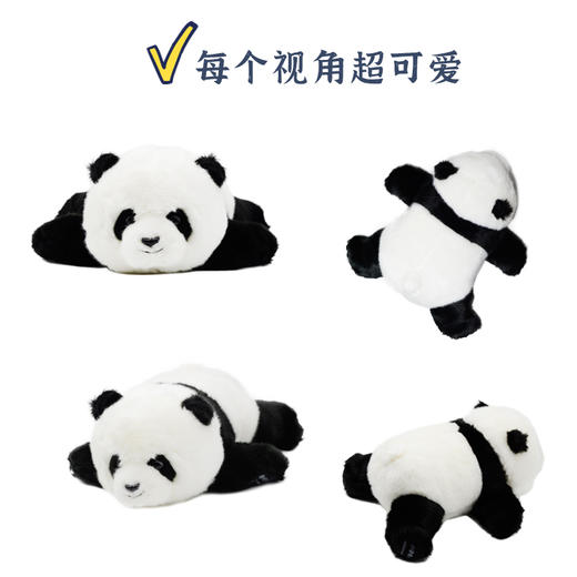 趴趴熊猫玩偶 商品图3