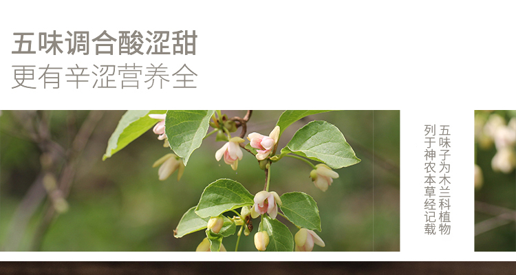 小兴安岭五味子花粉210g 颗粒饱满品质上乘