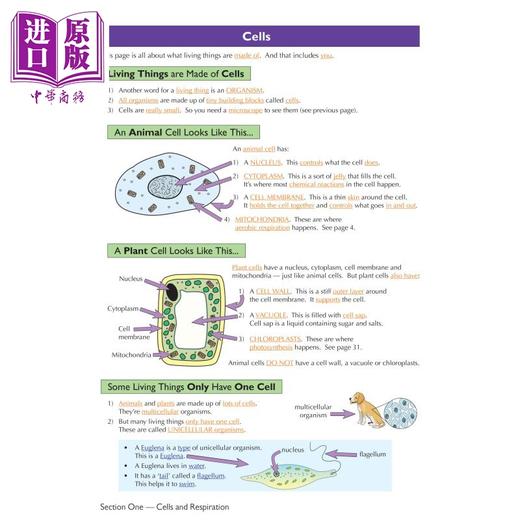 预售 【中商原版】英国原版CGP教辅 KS3 Science完整修订和实践-基础 KS3 Science Complete Revision & Practice with Online Ed 商品图4