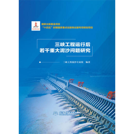 三峡工程运行后若干重大泥沙问题研究 商品图0