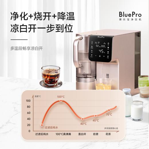 博乐宝BluePro 净饮一体机B66（凉白开）一年内以换代修 商品图2