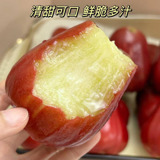 【鲜脆多汁】越南黑金刚莲雾 商品图3