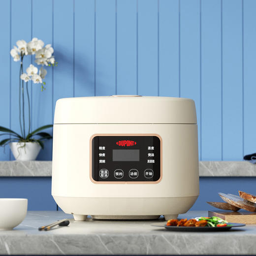 杜邦电饭煲PFB-KY0530 商品图4