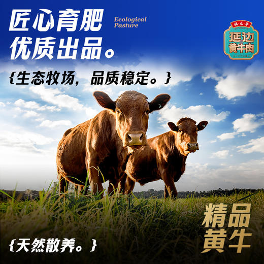蟹状元黄牛肉礼券 1088型内含6种牛肉 商品图1